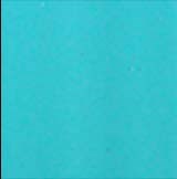 RAL 6027